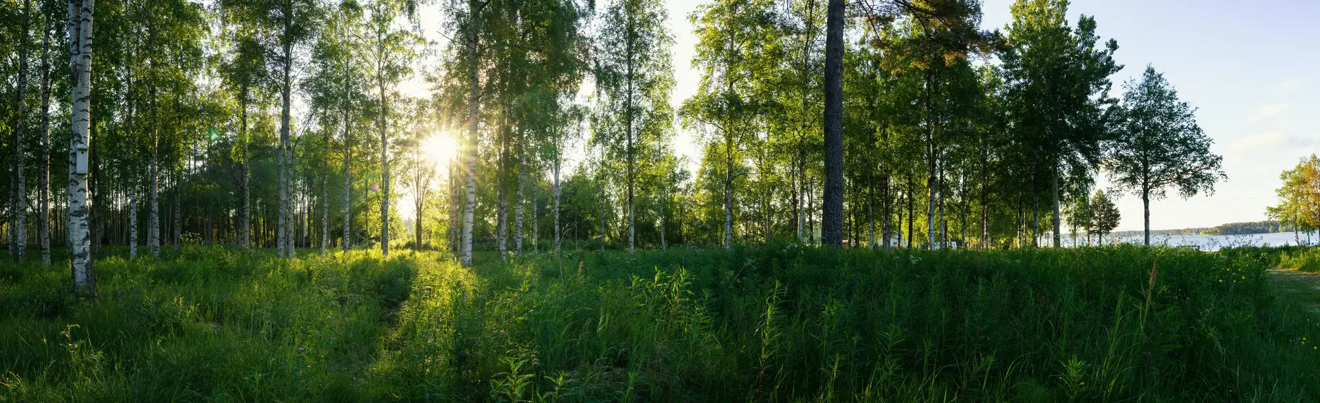 Ventilation i Sverige — FTXventilationRitning.se